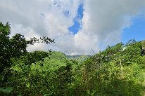 27810352_Unknown