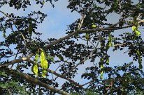 27810400_Unknown
