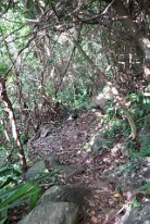 27810512_Unknown