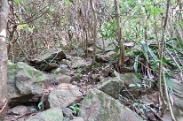 27810544_Unknown