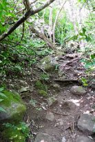 27810608_Unknown