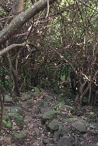 IMG_1053