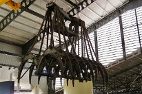 27811088_Unknown