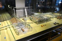 27811120_Unknown