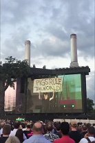 Waters-pigs rules the world