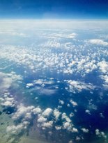 IMG_2764-1