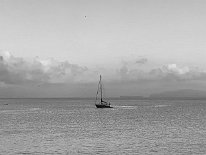 IMG_2791
