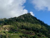 IMG_2819