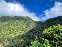 IMG_2822