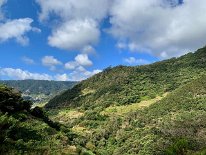 IMG_2823
