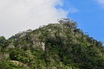 IMG_4218