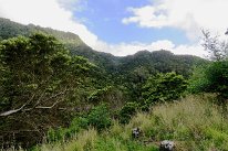 IMG_4222