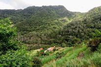 IMG_4224