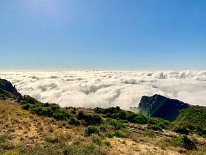 IMG_2960