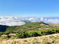 IMG_2962