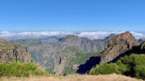 IMG_2964