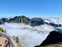 IMG_2966