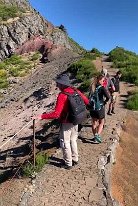 IMG_2971