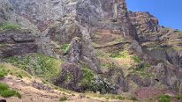 IMG_3967