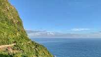 IMG_3081