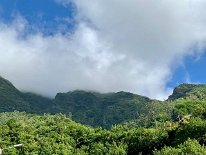 IMG_3087