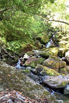 IMG_3154