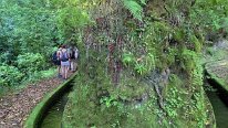 IMG_3966