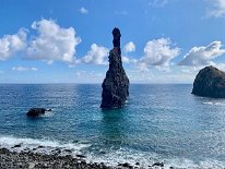 IMG_3263
