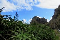 IMG_4626
