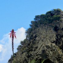 IMG_4627