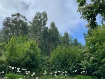 IMG_3389