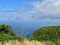 IMG_3393