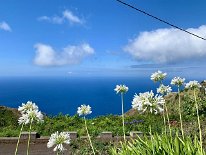 IMG_3399