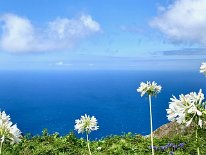 IMG_3400