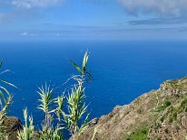 IMG_3403