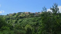 IMG_4724