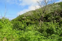 IMG_4726