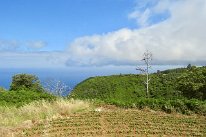 IMG_4727