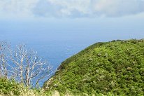 IMG_4728
