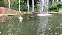 IMG_3581