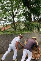IMG_3682