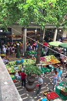 IMG_3718