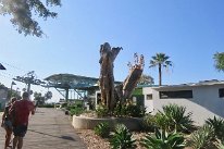 IMG_4790