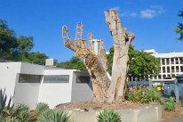 IMG_4791