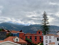 IMG_3837