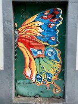 IMG_2786