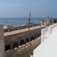 IMG_4197