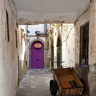 DSC_6033