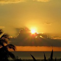 27270736_Unknown