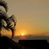 27272576_Unknown